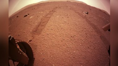 NASA’s Curiosity Rover Finds Carbon Signature on Mars